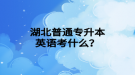 湖北普通專升本英語(yǔ)考什么？