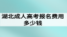 湖北成人高考報名費用多少錢