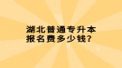 湖北普通專升本報名費多少錢？