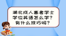 湖北成人高考學(xué)士學(xué)位英語怎么學(xué)？有什么技巧嗎？