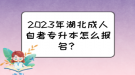 2023年湖北成人自考專升本怎么報名？