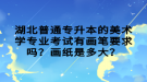 湖北普通專升本的美術學專業(yè)考試有畫筆要求嗎？畫紙是多大？