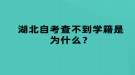 湖北自考查不到學(xué)籍是為什么？