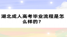 湖北成人高考畢業(yè)流程是怎么樣的？