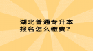 湖北普通專升本報名怎么繳費？