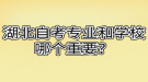 湖北自考專業(yè)和學(xué)校哪個(gè)重要？