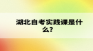 湖北自考實(shí)踐課是什么？