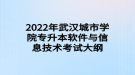 2022年武漢城市學(xué)院專(zhuān)升本軟件與信息技術(shù)考試大綱