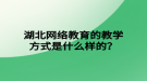 湖北網絡教育的教學方式是什么樣的？