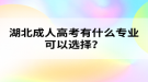 湖北成人高考有什么專業(yè)可以選擇？