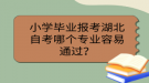 小學畢業(yè)報考湖北自考哪個專業(yè)容易通過？