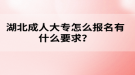 湖北成人高考大專怎么報名有什么要求？