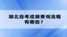 湖北自考成績查詢流程有哪些？