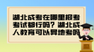 湖北成考在哪里報(bào)考考試都行嗎？湖北成人教育可以異地考嗎？