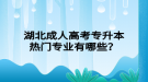 湖北成人高考專升本熱門專業(yè)有哪些？