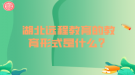 湖北遠程教育的教育形式是什么？