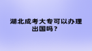 湖北成考大?？梢赞k理出國嗎？