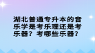 湖北普通專升本的音樂學(xué)是考樂理還是考樂器？考哪些樂器？