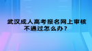 武漢成人高考報名網(wǎng)上審核不通過怎么辦？