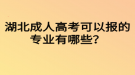 湖北成人高考可以報(bào)的專業(yè)有哪些？