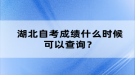 湖北自考成績什么時候可以查詢？