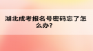 湖北成考報(bào)名號密碼忘了怎么辦？