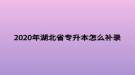 2020年湖北省專升本怎么補(bǔ)錄