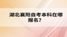 湖北襄陽自考本科在哪報名？