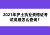 2021年護(hù)士執(zhí)業(yè)資格證考試成績(jī)?cè)趺床樵儯?>
                        </a>
                    </li>
                                        <li>
                        <a href=