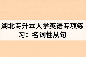 湖北專升本大學(xué)英語專項(xiàng)練習(xí)：名詞性從句