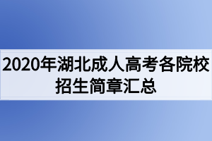 2020年湖北成人高考各院校招生簡(jiǎn)章匯總