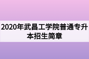 2020年武昌工學(xué)院普通專升本招生簡章