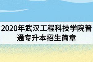 2020年武漢工程科技學(xué)院普通專升本招生簡(jiǎn)章