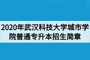 2020年武漢科技大學(xué)城市學(xué)院普通專升本招生簡(jiǎn)章