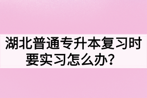 湖北普通專升本復(fù)習(xí)時(shí)要實(shí)習(xí)怎么辦？