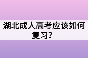 湖北成人高考應(yīng)該如何復(fù)習(xí)？