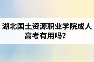 湖北國土資源職業(yè)學(xué)院成人高考有用嗎？學(xué)習(xí)采取的是什么方式？