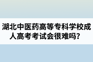 湖北中醫(yī)藥高等?？茖W(xué)校成人高考考試會(huì)很難嗎？壓力會(huì)不會(huì)很大？