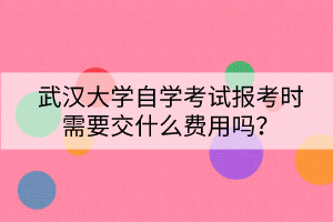 武漢大學自學考試報考時需要交什么費用嗎？