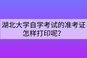 湖北大學自學考試的準考證怎樣打印呢？