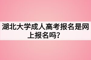 湖北大學(xué)成人高考報(bào)名是網(wǎng)上報(bào)名嗎？