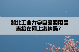 湖北工業(yè)大學(xué)自考費用是直接在網(wǎng)上繳納嗎？