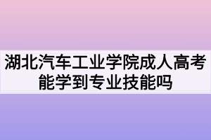 湖北汽車工業(yè)學(xué)院成人高考能學(xué)到專業(yè)技能嗎？