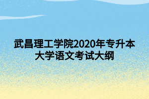 武昌理工學院2020年專升本大學語文考試大綱