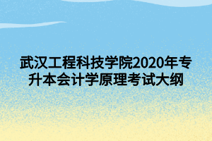 武漢工程科技學(xué)院2020年專升本會計學(xué)原理考試大綱