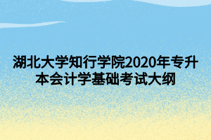 湖北大學知行學院2020年專升本會計學基礎考試大綱