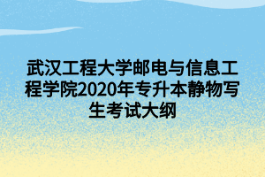 武漢工程大學(xué)郵電與信息工程學(xué)院2020年專(zhuān)升本靜物寫(xiě)生考試大綱