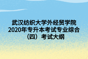 武漢紡織大學外經(jīng)貿(mào)學院2020年專升本考試專業(yè)綜合（四）考試大綱