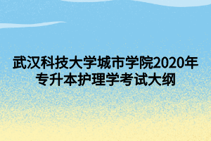 武漢科技大學(xué)城市學(xué)院2020年專升本護(hù)理學(xué)考試大綱