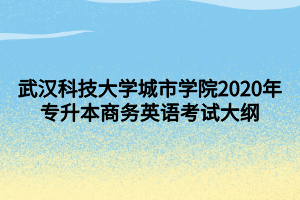 武漢科技大學城市學院2020年專升本商務英語考試大綱